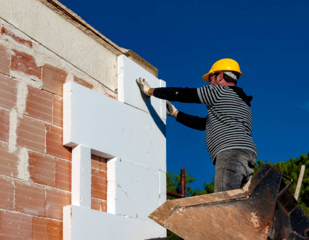 Best Insulation Contractor Near Me  in Pleasant Hill, MO