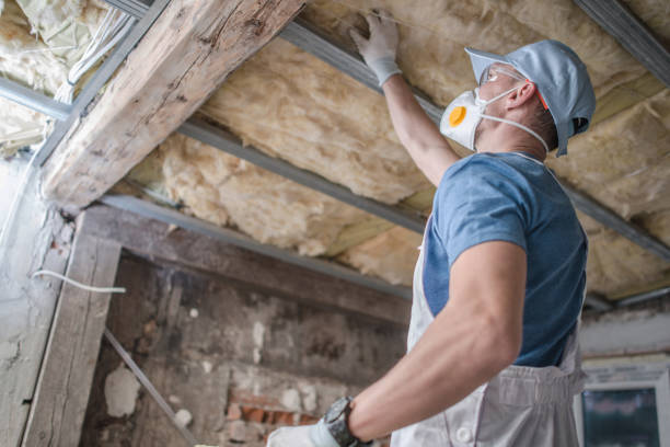 Best Cellulose Insulation  in Pleasant Hill, MO