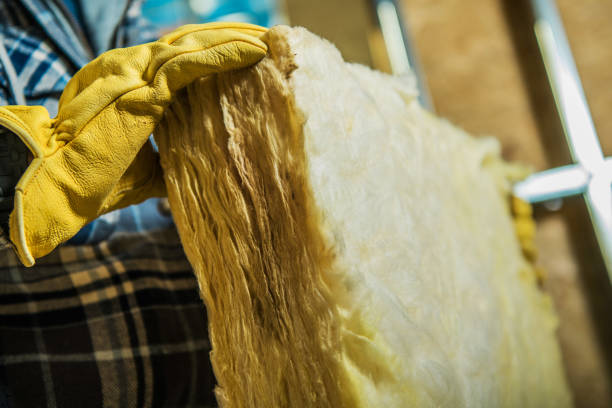 Best Home Insulation Services  in Pleasant Hill, MO