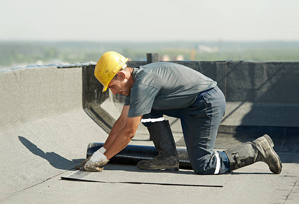 Best Energy-efficient Insulation  in Pleasant Hill, MO