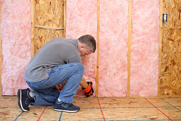 Insulation for Commercial Buildings in Pleasant Hill, MO